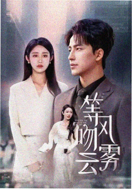 热播电视剧专区